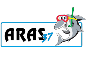 logo aras 37