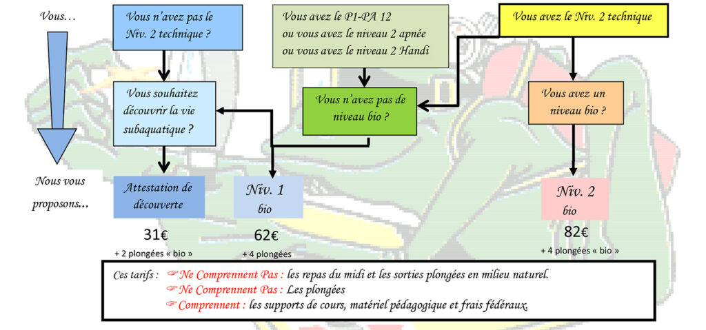 formation biologie plongee