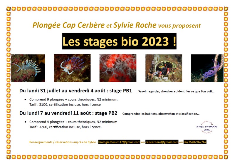 Stages 2023 plongeur biologiste niveau 1 et 2 à Cerbère